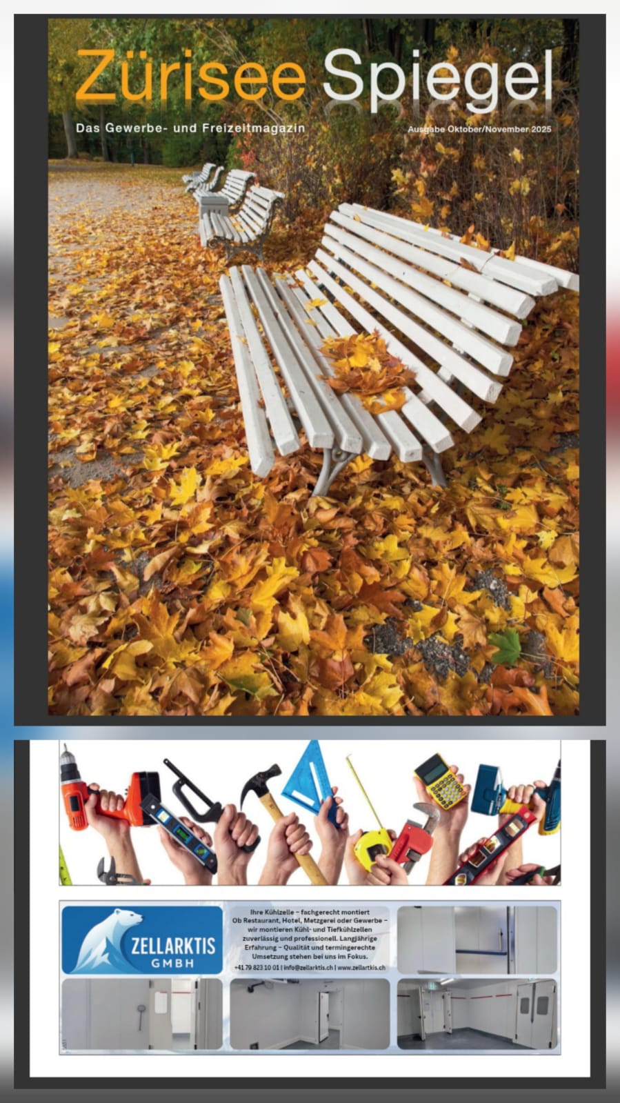 ZellArktis im Zürisee Spiegel